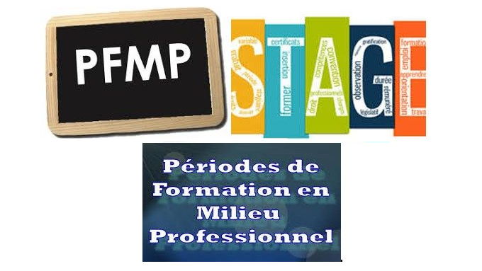 pfmp-png-15527.png