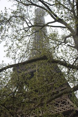 TOUR EIFFEL.jpg